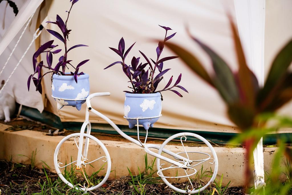 Harmony Glamping Boutique Hotel And Yoga 图卢姆 客房 照片